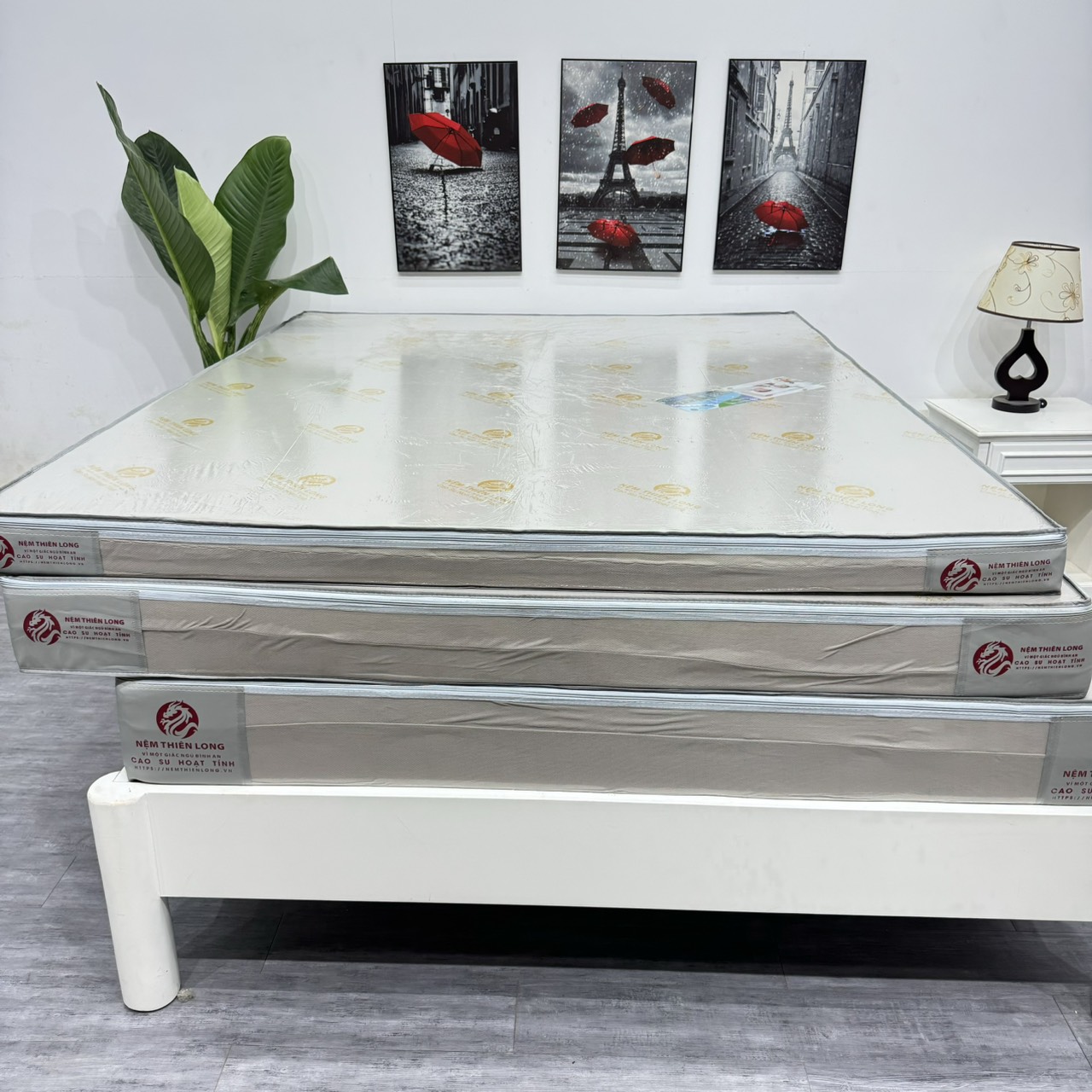 Nệm Cao Su Hoạt Tính Kháng Khuẩn Thiên Long